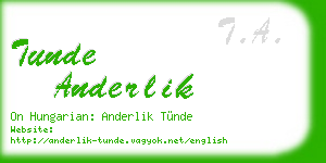 tunde anderlik business card